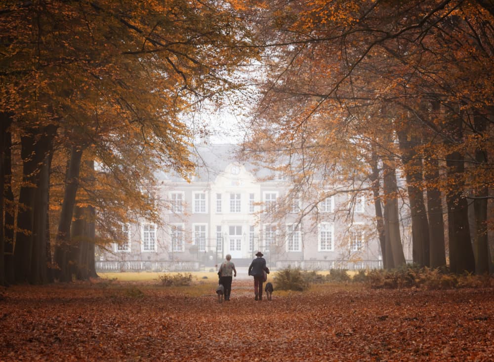 zondagochtend wandeling. by Ria Groot Zevert — canvas wall art