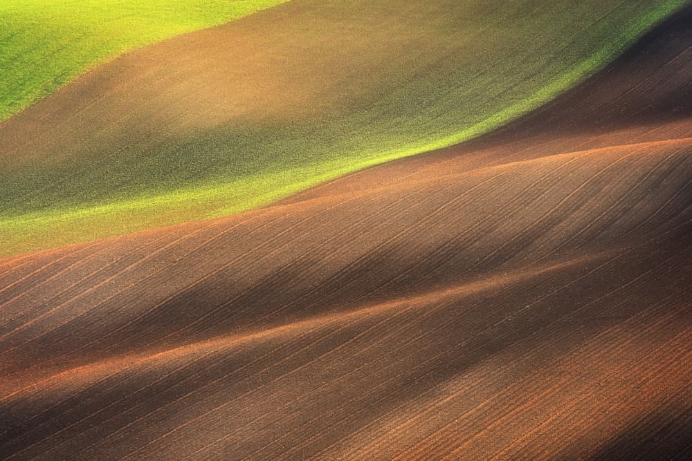 Rolling Field Patterns by Martin Morávek — canvas wall art