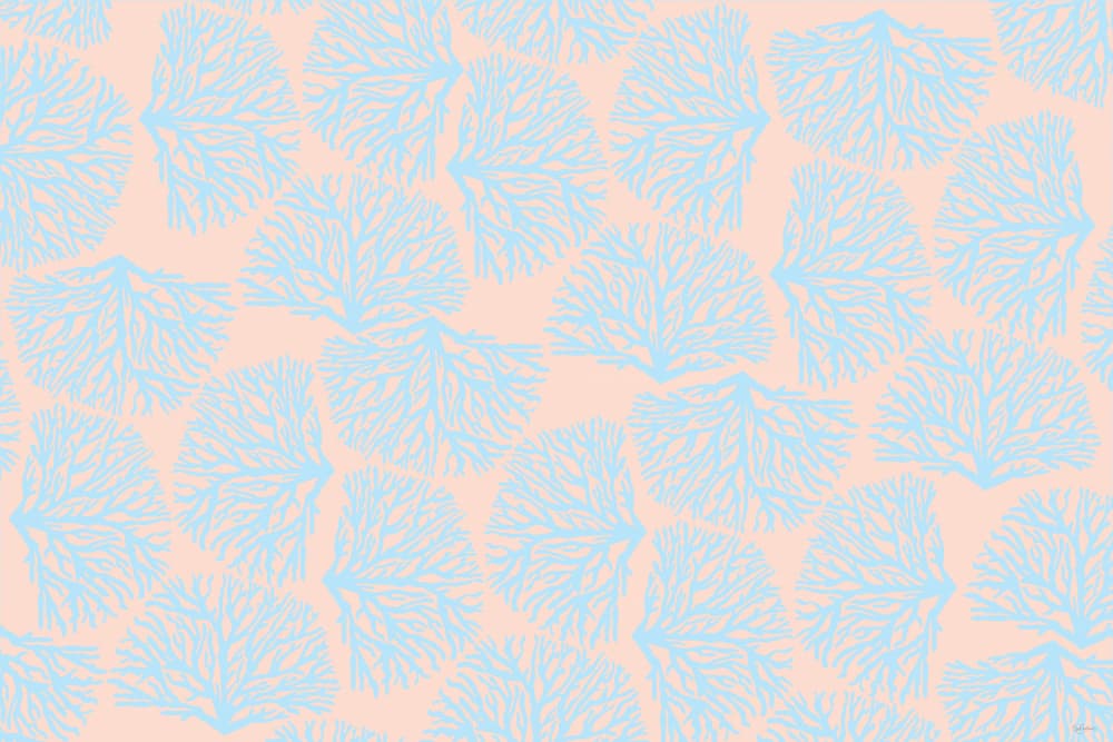 Delicate Coral Pattern by Sue Skellern — canvas wall art