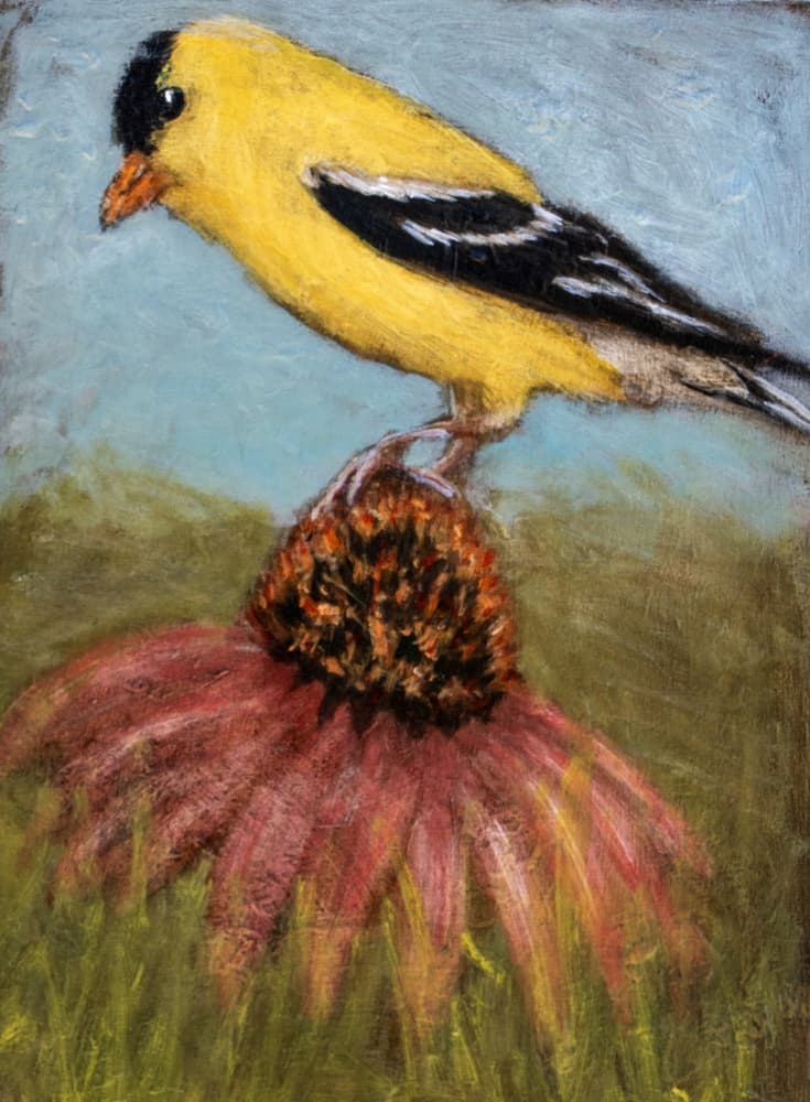 Goldfinch On Coneflower by Claire Lerner — canvas wall art