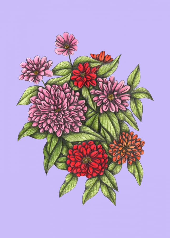 Vibrant Garden Blooms by Cecilia Battaini — canvas wall art