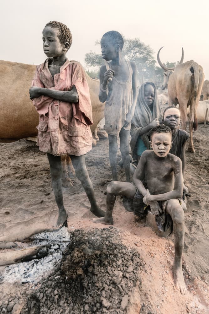 Dinka Boys and Cattle by Trevor Cole — canvas wall art