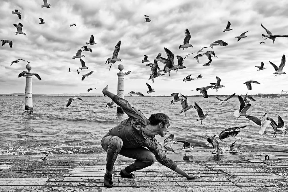 Man and Soaring Seagulls by Josefina Melo — canvas wall art