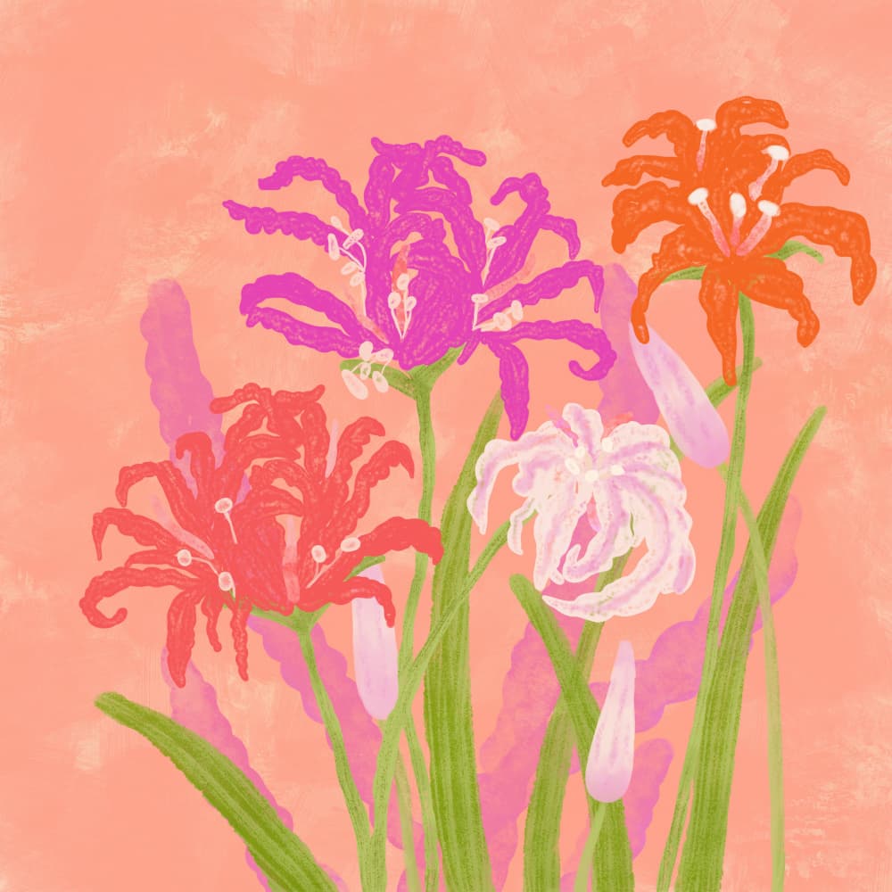 Vibrant Floral Blooms by Aliya Putrus — canvas wall art