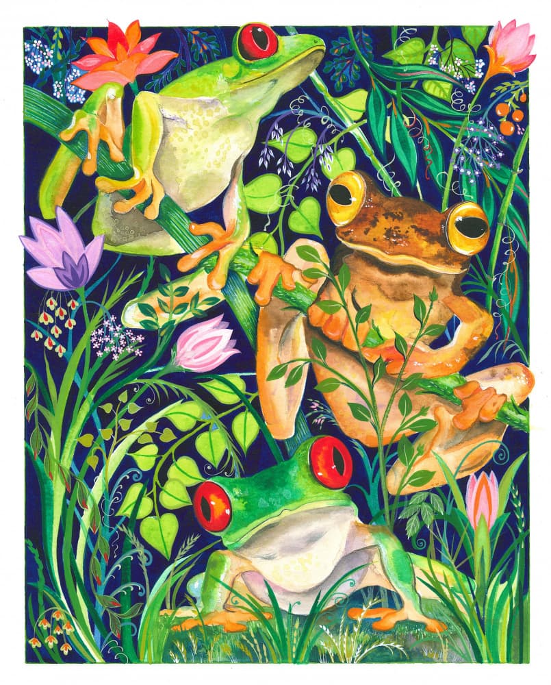 Rain Forest Frogs by Isabelle Brent — canvas wall art