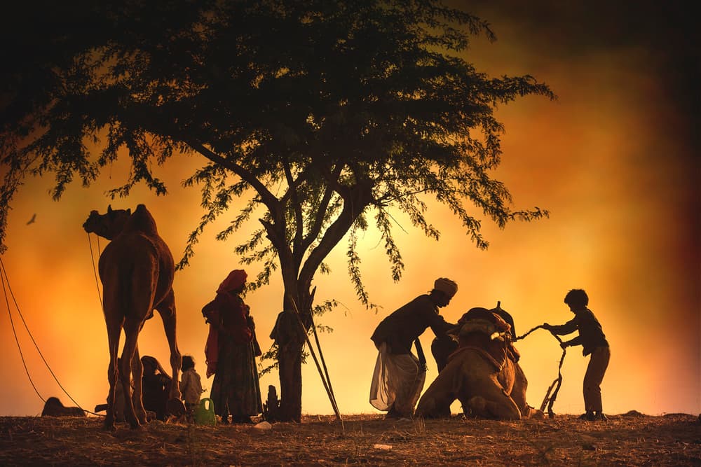 Golden Hour Nomads by Svetlin Yosifov — canvas wall art