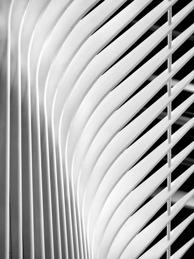Abstract Architectural Curves by Jackson Carvalho — canvas wall art