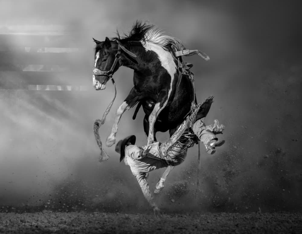 Bucking Horse Rodeo by Irene Wu — canvas wall art