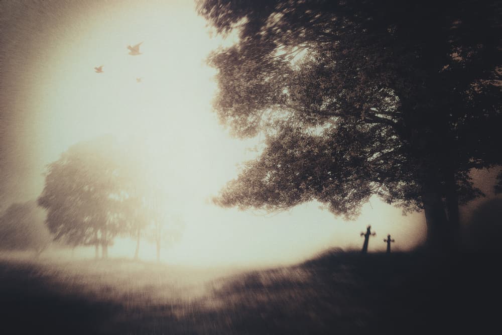 Misty Graveyard Crosses by Gustav Davidsson — canvas wall art