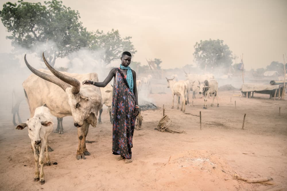 Dinka Woman Longhorn Cattle by Trevor Cole — canvas wall art