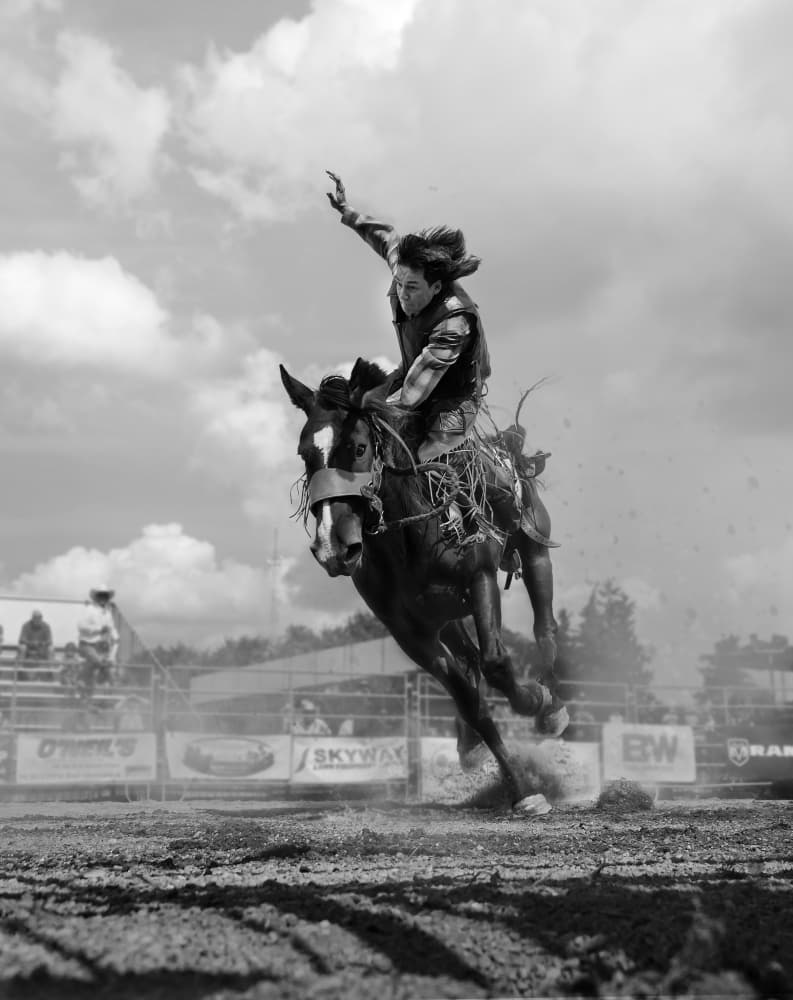 Cowboy's Wild Ride by Leeian Dai — canvas wall art