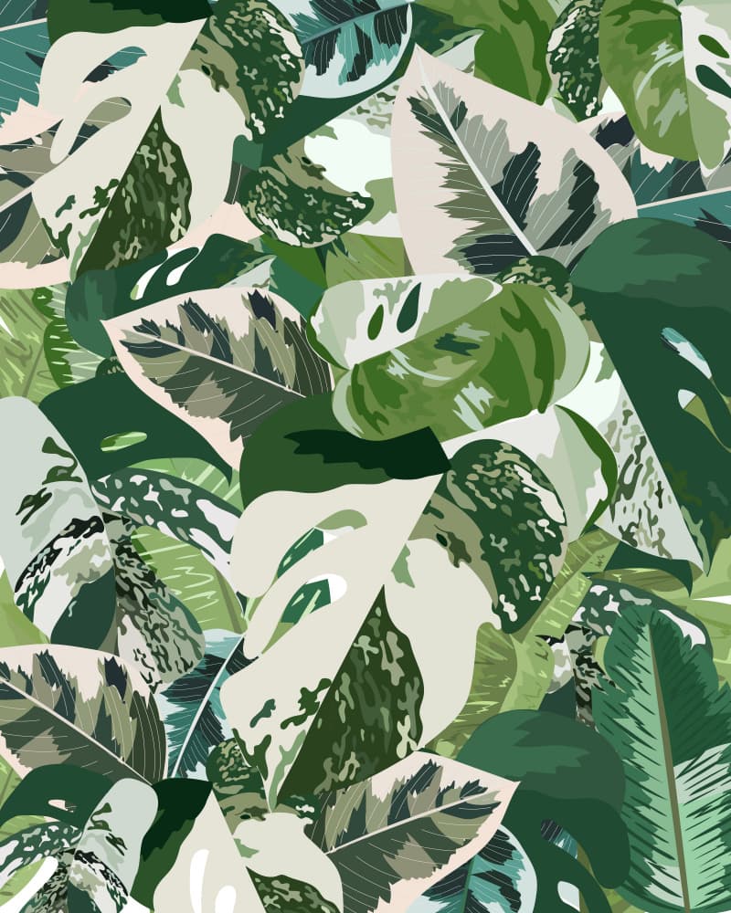 Tropical Variegated Leaves by Sarah Manovski — canvas wall art