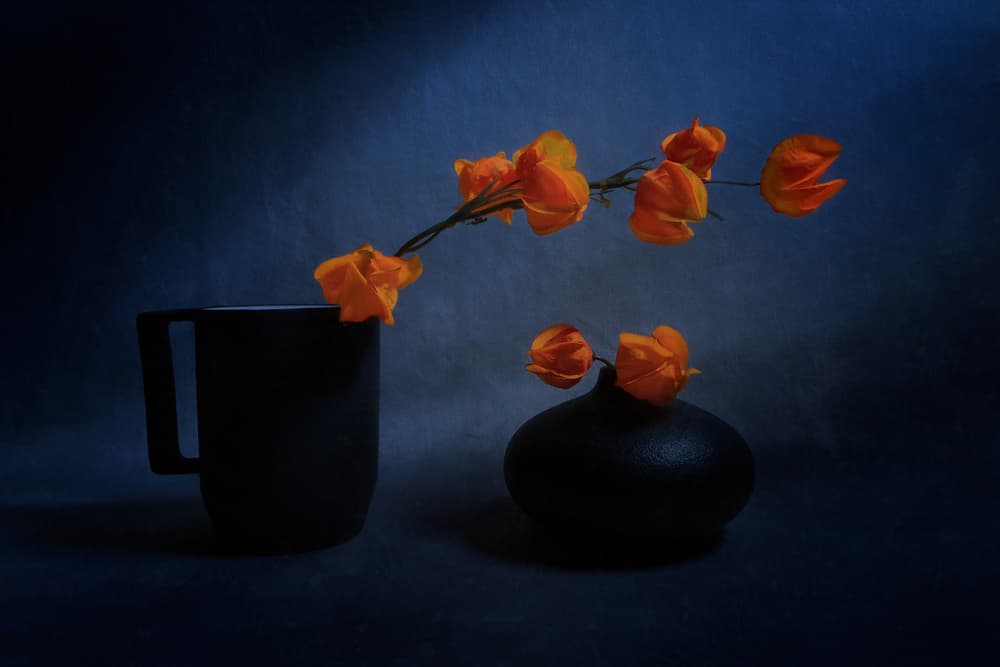 Autumn Lantern Still Life by Siyu_Wei APA — canvas wall art