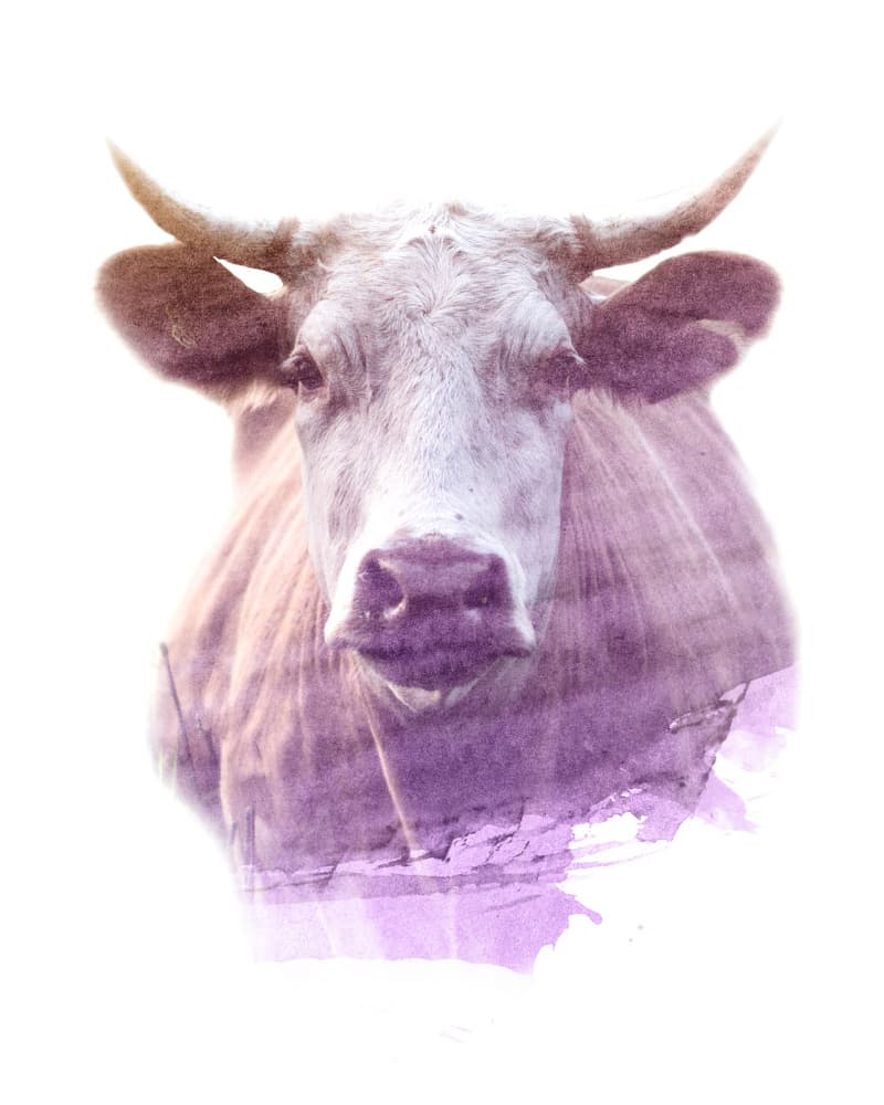 0007 Animal Watercolor by Emiliano Deificus — canvas wall art