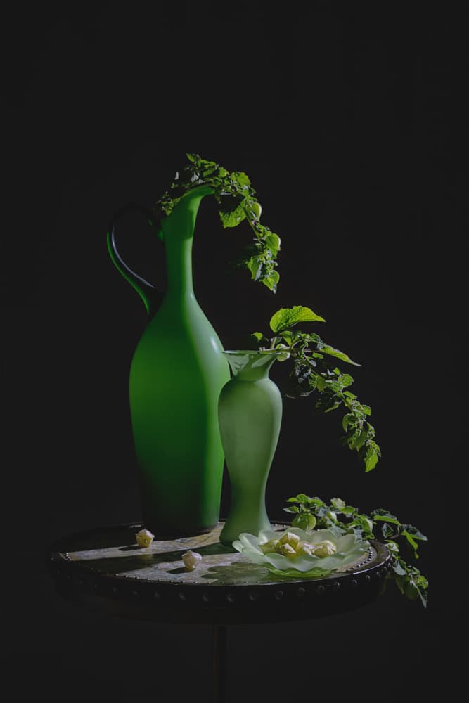 Green Vases Still Life by Lydia Jacobs — canvas wall art