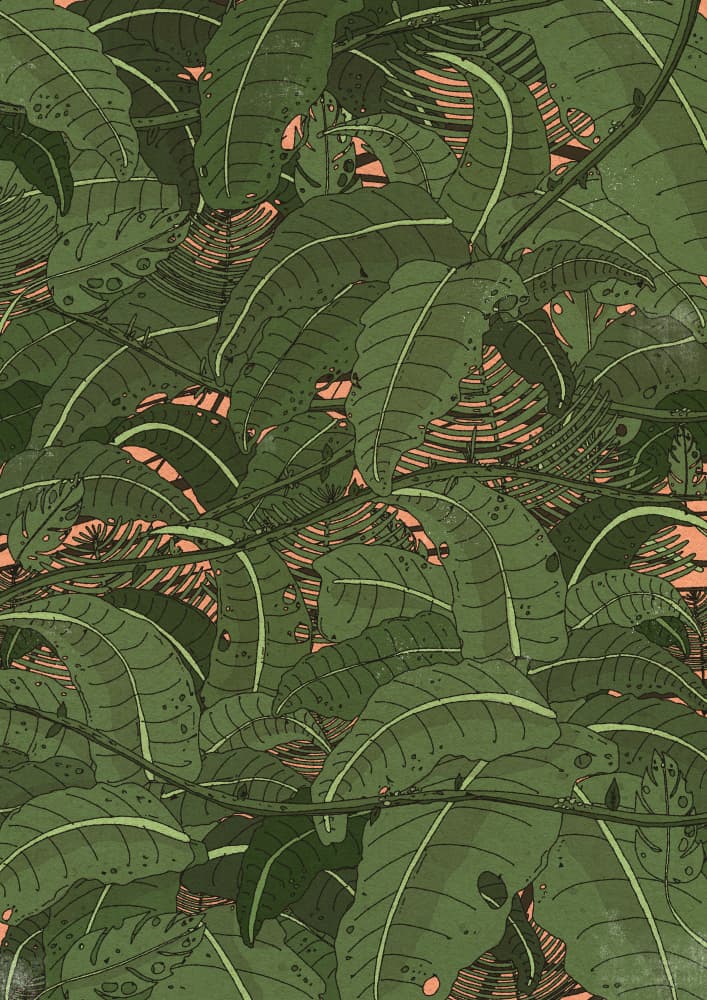 Lush Jungle Leaves by Nicholas — canvas wall art