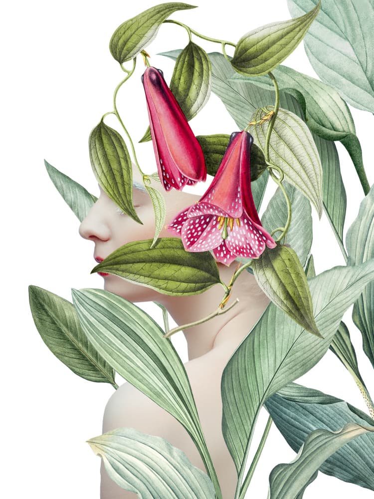 Serene Botanical Profile by Marja van den Hurk — canvas wall art