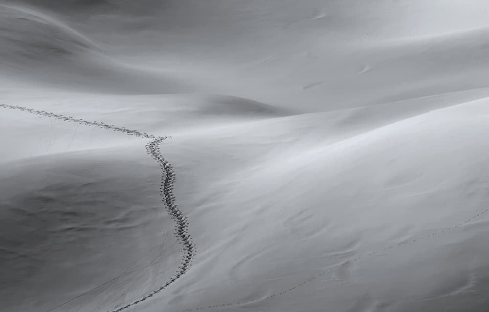 Winding Snow Path by Uschi Hermann — canvas wall art