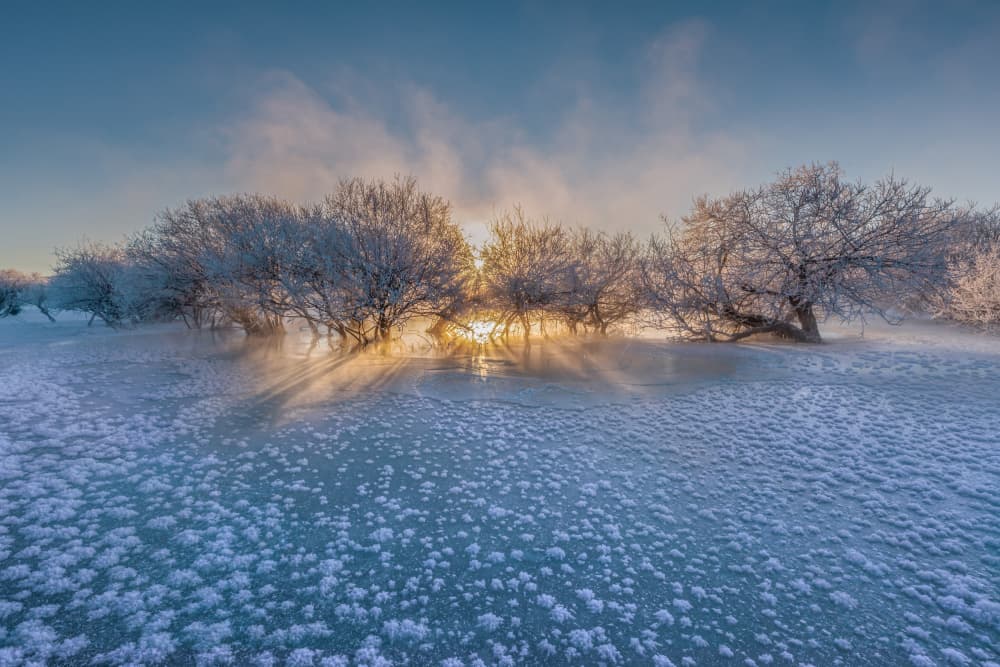 Frozen Glow by Irene Wu — canvas wall art