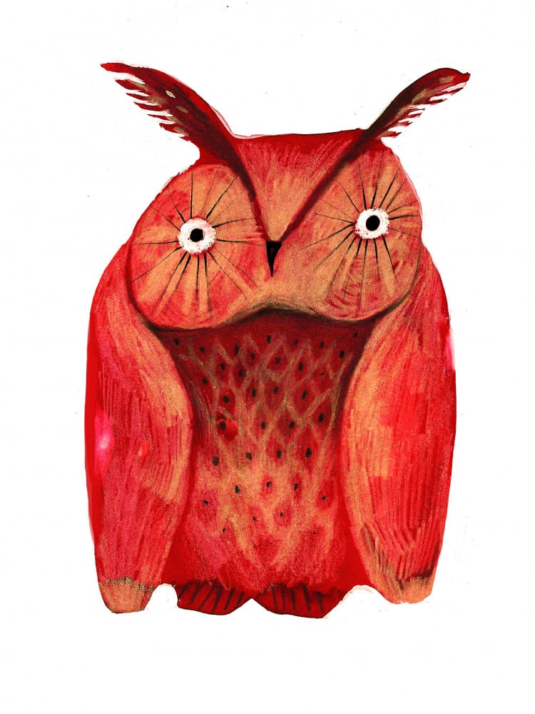 Whimsical Red Owl by Olga Skomorokhova — canvas wall art