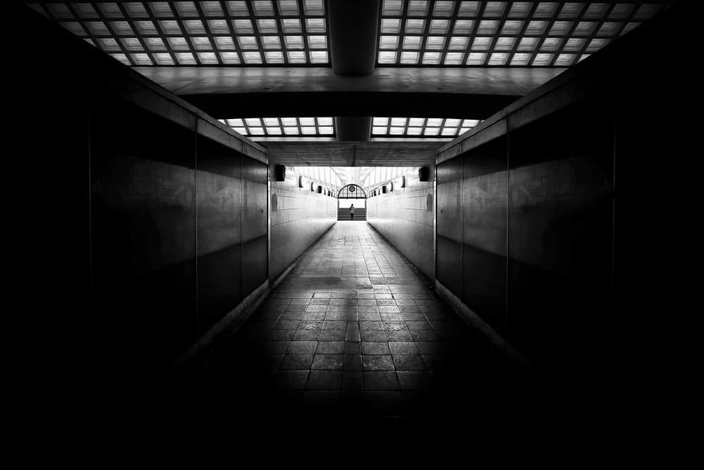 Path To The Light by Jorge Pimenta — canvas wall art