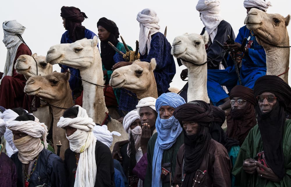 Dignified Camel Riders by Joxe Inazio Kuesta Garmendia — canvas wall art