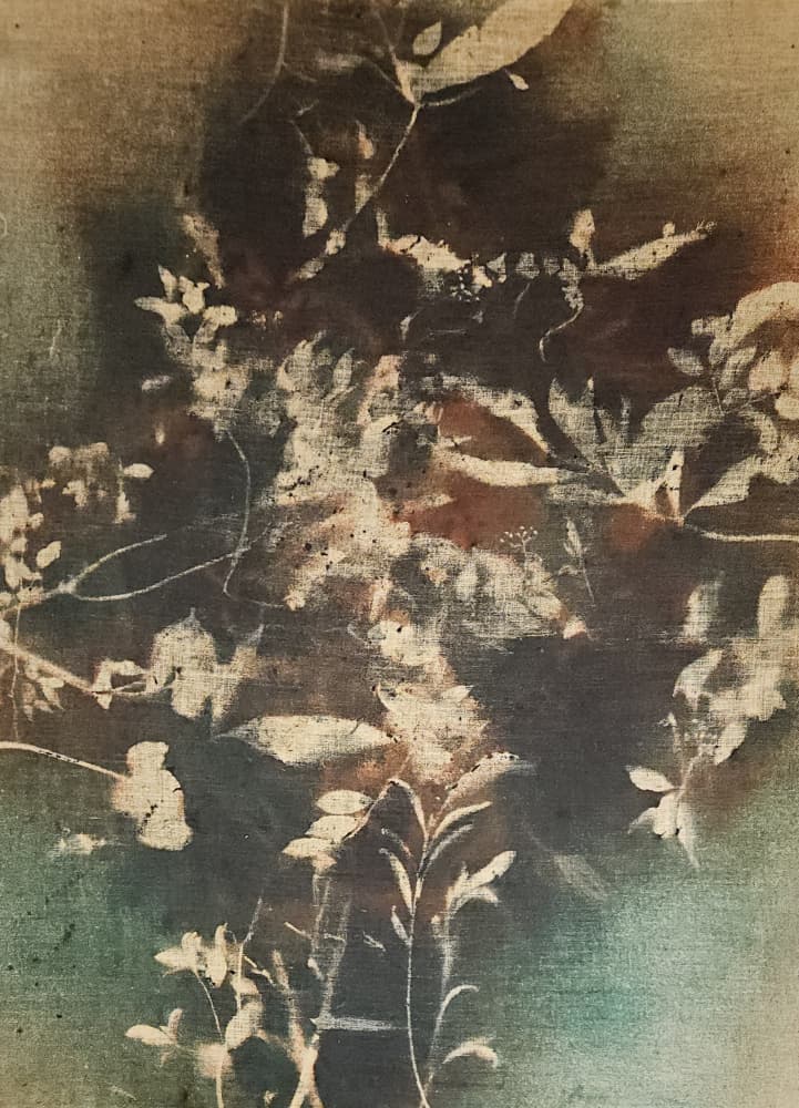 Dark Ethereal Botanicals by Stefano Mazzolini — canvas wall art