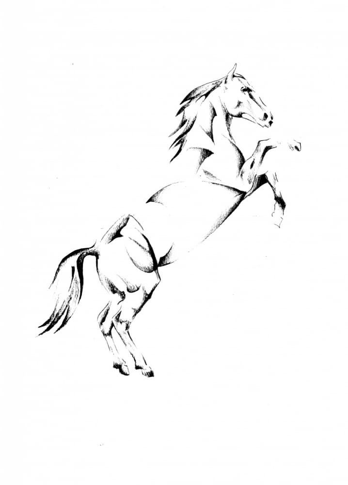 Majestic Rearing Horse by Kulik — canvas wall art