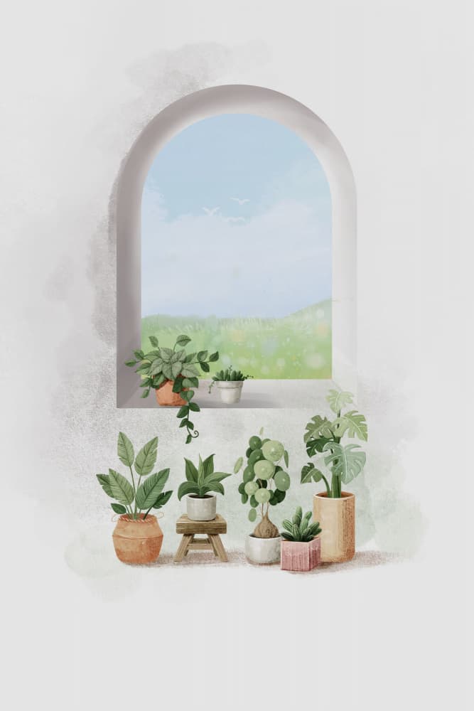 Arched Window Plants by Xuan Thai — canvas wall art