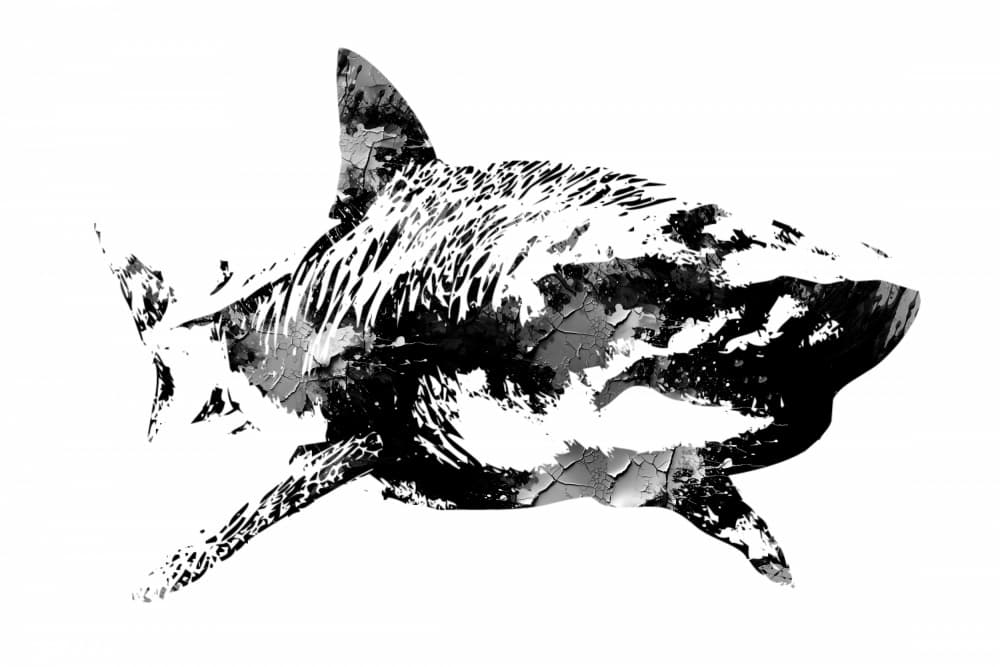 Textured Shark Art by Rafal Kulik — canvas wall art