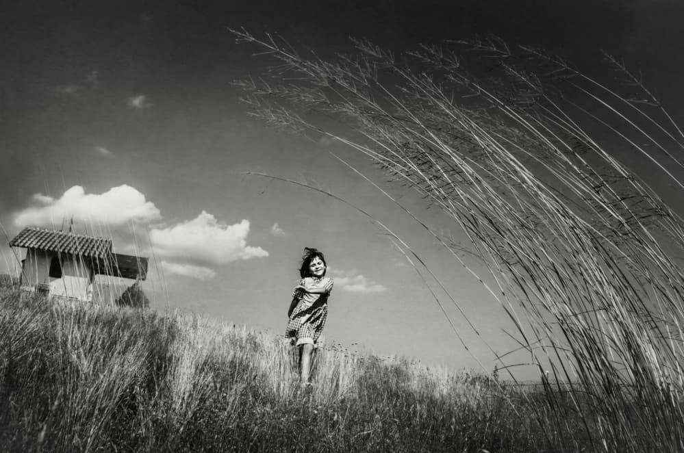 Happy Girl in Tall Grass by Desislava Ignatova — canvas wall art