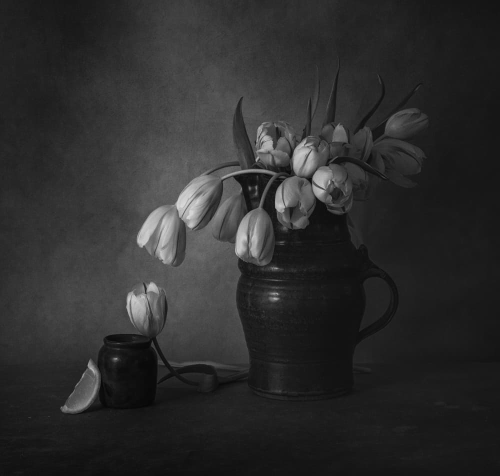 Moody Tulips Still Life by May G — canvas wall art