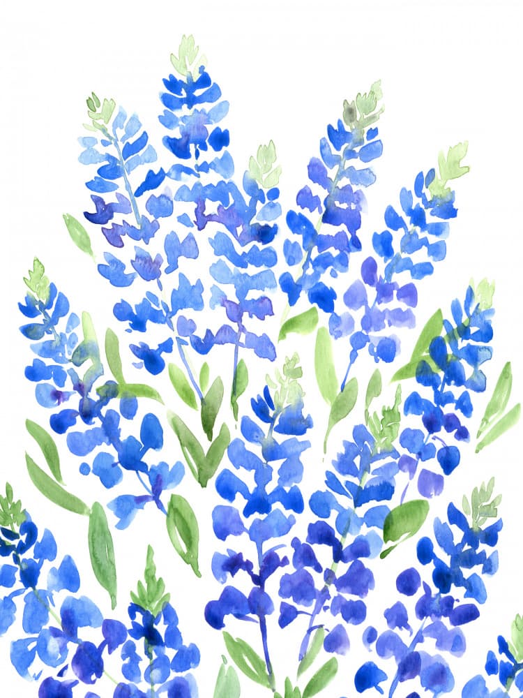 Blue Watercolor Lupines by Rosana Laiz Blursbyai — canvas wall art