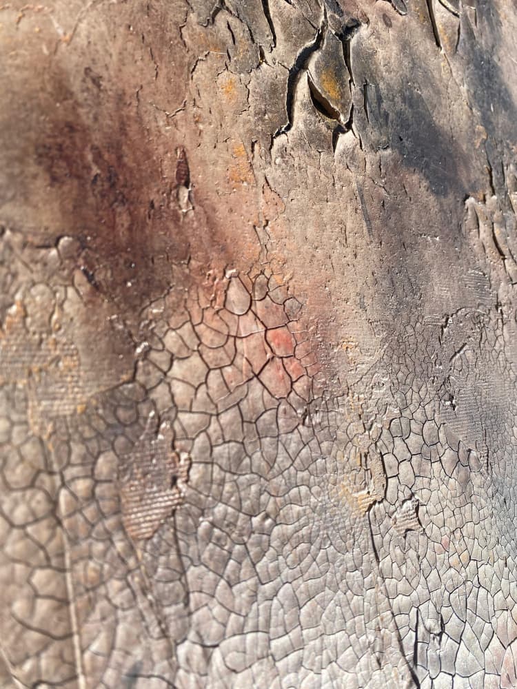 Cracked Earth Texture by Gabriela Aleksandra Szuba — canvas wall art
