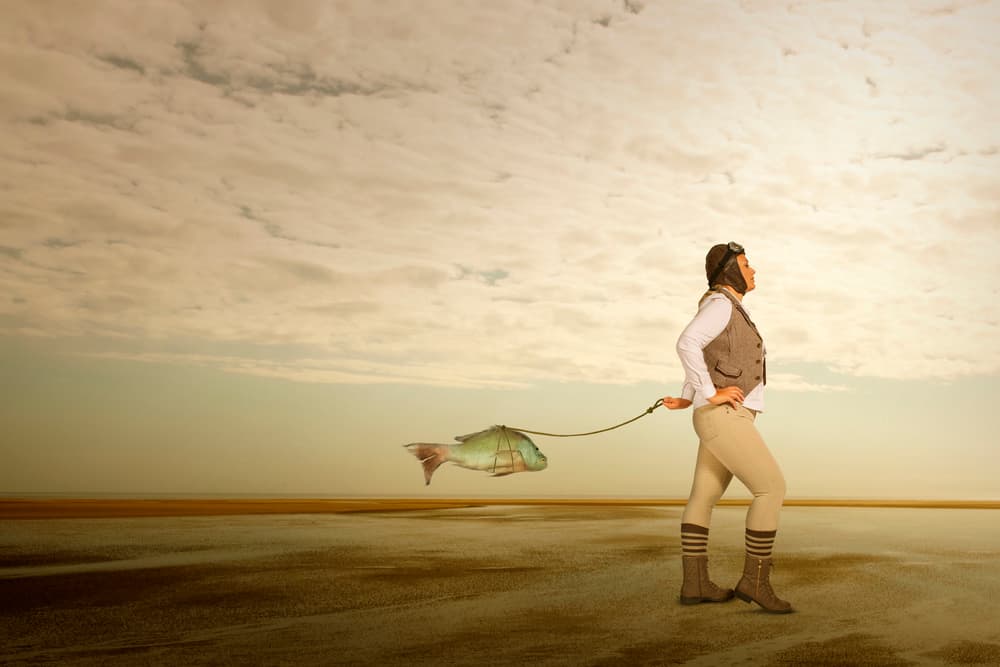 Aviator Leading Fish by Christine von Diepenbroek — canvas wall art