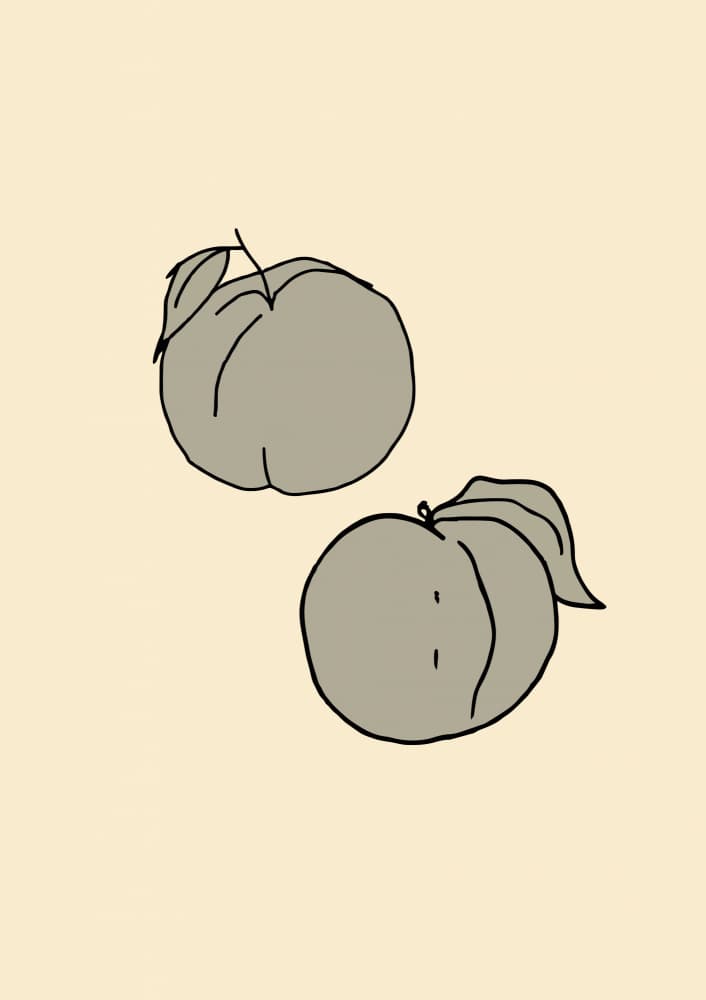 Peachy Duo Lines by Treechild — canvas wall art