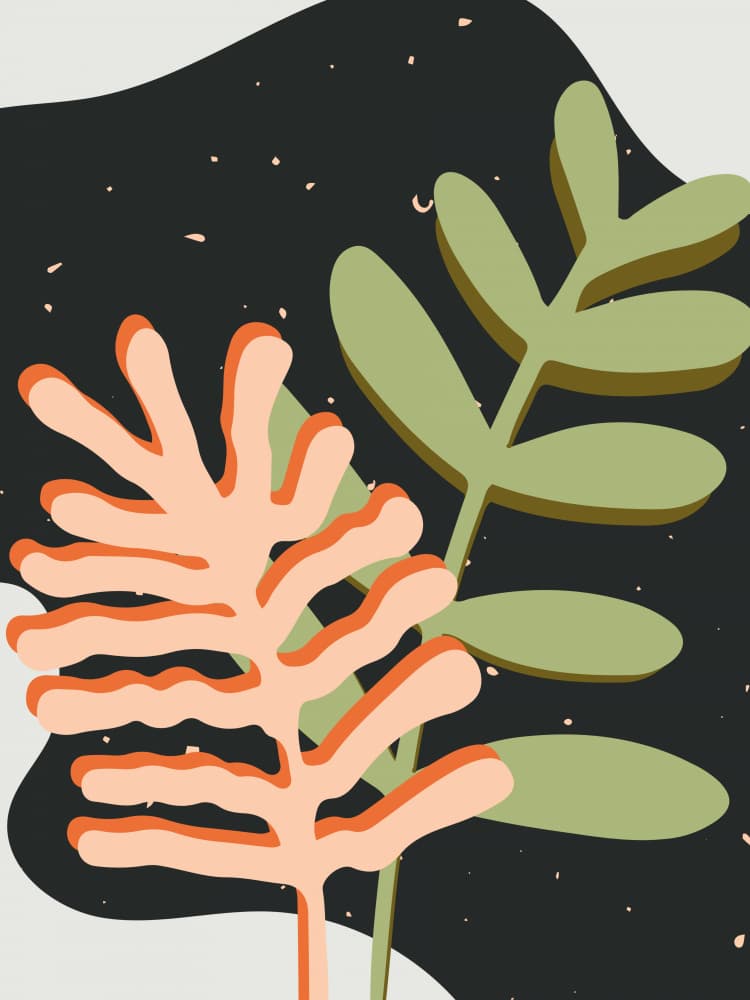 Muted Organic Forms by Little Dean — canvas wall art
