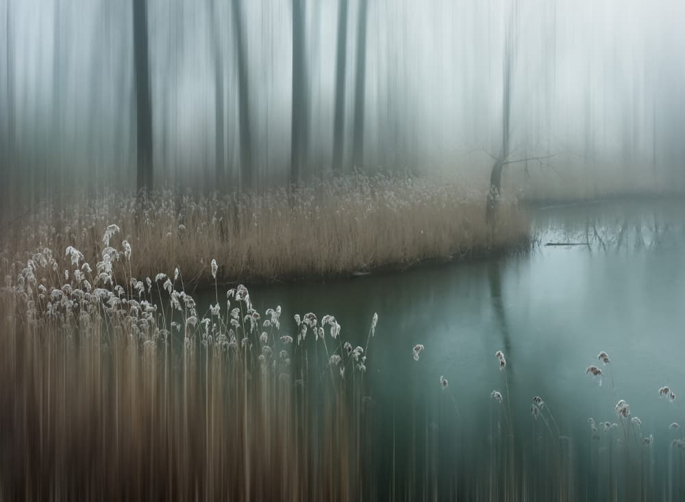 Ethereal Forest Pond by Hilda van der Lee — canvas wall art