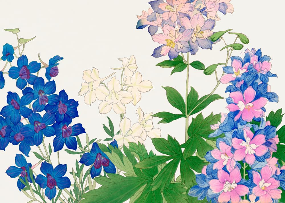Delphinium Flower No.2 by Tanigami Konan — canvas wall art