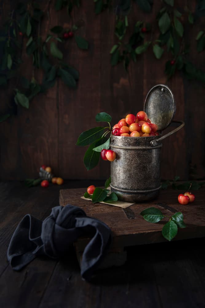 Moody Rustic Cherries by Diana Popescu — canvas wall art