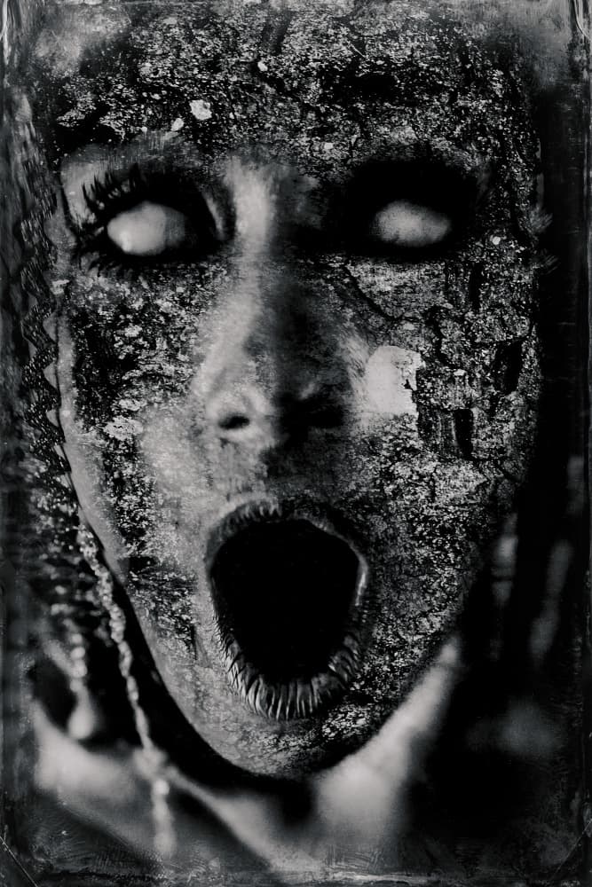 Horror Scream Face by Bogdan Bouşcă — canvas wall art