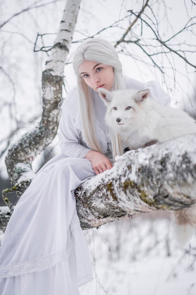 Winter Fox Companion by Olga Barantseva — canvas wall art