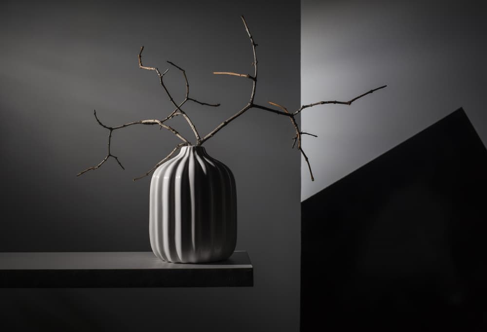 Elegant Vase Shadows by Evgeniy Popov — canvas wall art