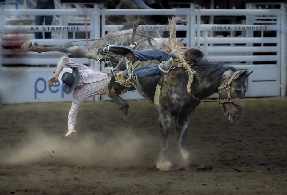 Falling Rodeo Cowboy by Jie Cheng — canvas wall art
