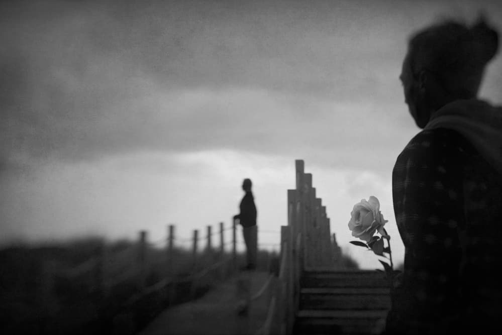 Melancholy Rose Path by Nuno Borges — canvas wall art