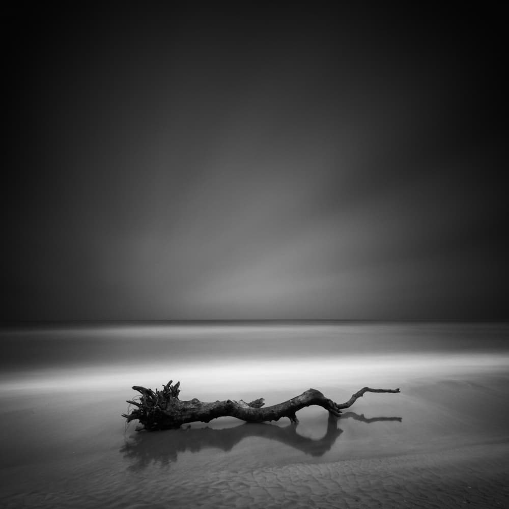 Dark Ocean Driftwood by Martin Rak — canvas wall art