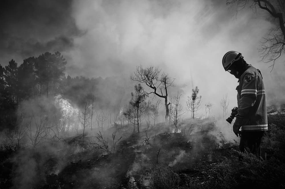 Wildfire Firefighter Aftermath by Rui Caria — canvas wall art