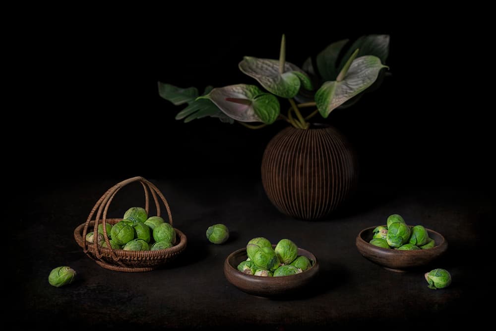 Moody Sprouts Still Life by Lydia Jacobs — canvas wall art