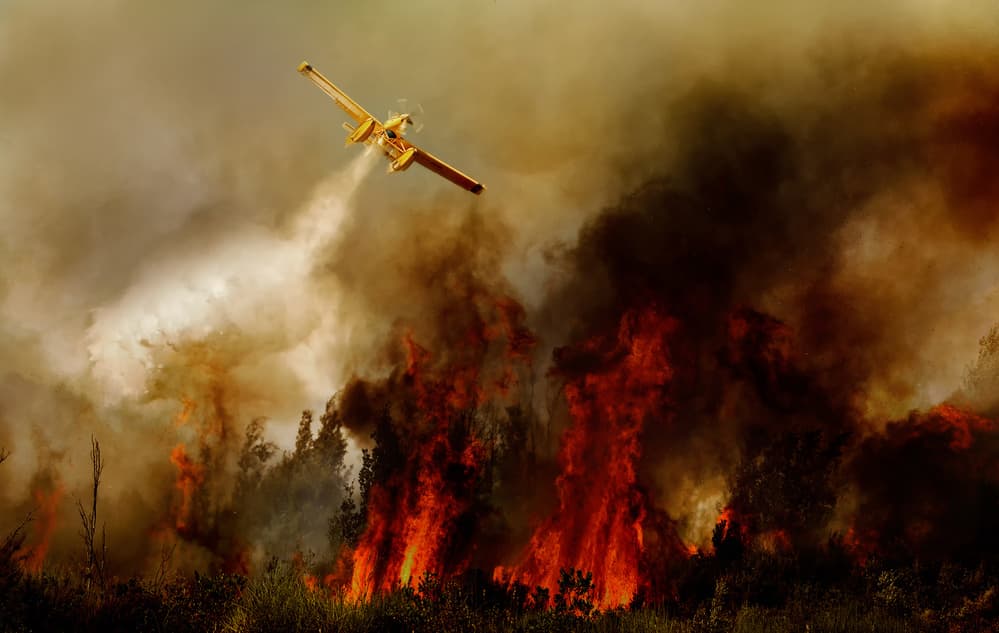 Wildfire Fighter Plane by Antonio Grambone — canvas wall art