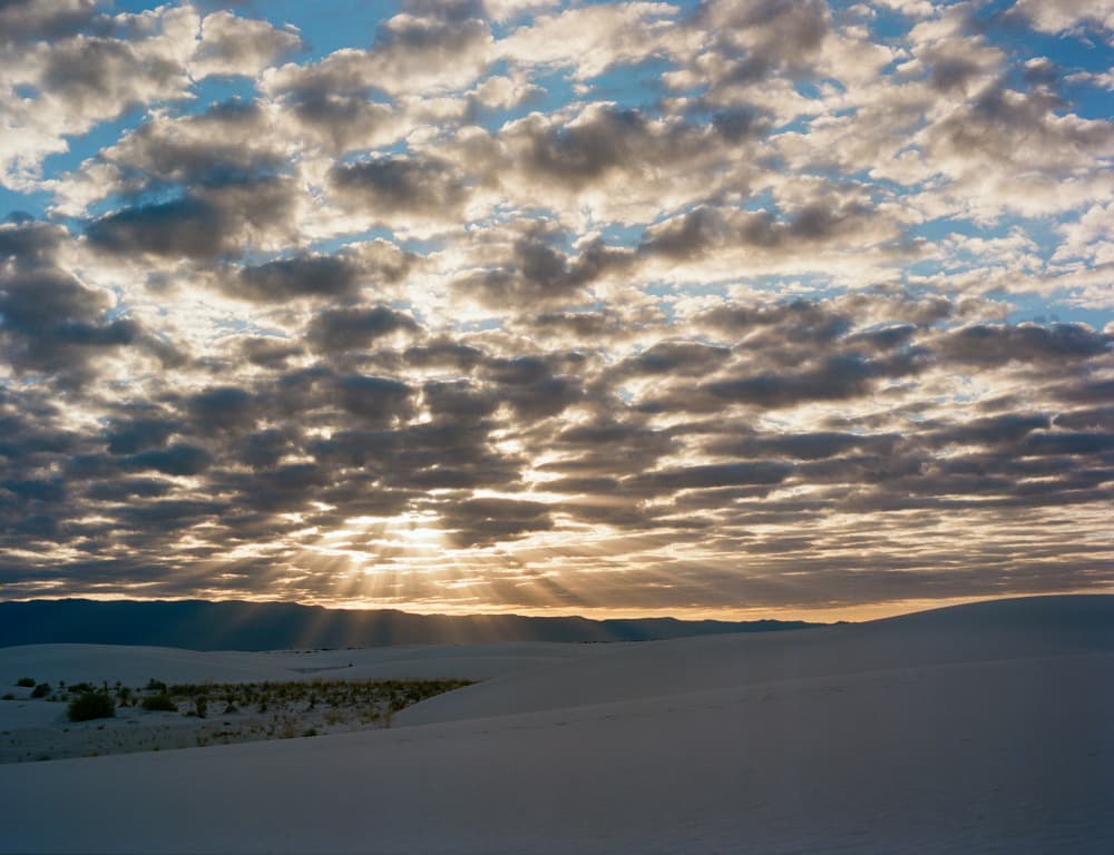 Golden Dunes Sunrise by Bethany Young — canvas wall art